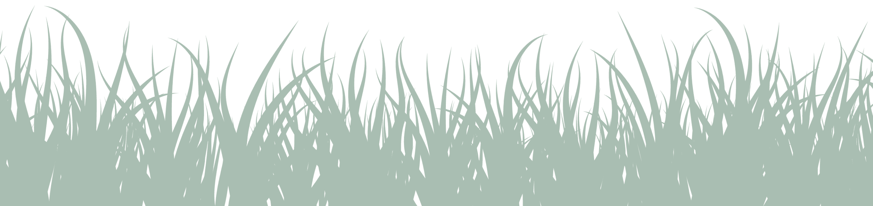 grass