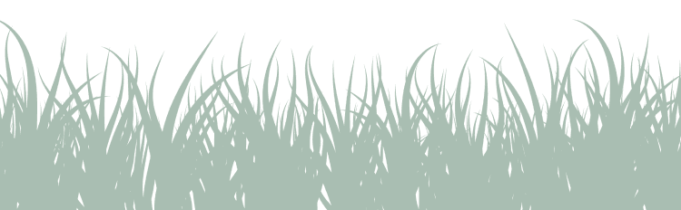 grass